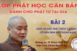 LỚP GIÁO LÝ PHẬT HỌC CĂN BẢN BÀI 2: LƯỢC SỬ ĐỨC PHẬT THÍCH CA MÂU NI (TỪ ĐẢN SINH ĐẾN THÀNH ĐẠO)