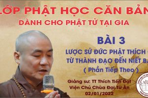 LỚP GIÁO LÝ PHẬT HỌC CĂN BẢN BÀI 3: LƯỢC SỬ CỦA ĐỨC PHẬT THÍCH CA TỪ THÀNH ĐẠO ĐẾN NIẾT BÀN ( Phần T...