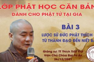 LỚP GIÁO LÝ PHẬT HỌC CĂN BẢN BÀI 3: LƯỢC SỬ CỦA ĐỨC PHẬT THÍCH CA TỪ THÀNH ĐẠO ĐẾN NIẾT BÀN
