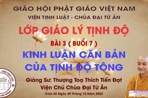 BÀI 3 - KINH LUẬN CĂN BẢN CỦA TỊNH ĐỘ TÔNG - BUỔI 7