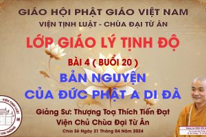 BÀI 4 – BẢN NGUYỆN CỦA ĐỨC PHẬT A DI ĐÀ – BUỔI 20