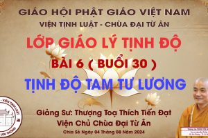 BÀI 6 –  TỊNH ĐỘ TAM TƯ LƯƠNG – BUỔI 30
