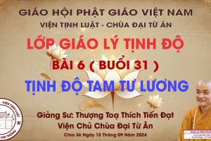 BÀI 6 –  TỊNH ĐỘ TAM TƯ LƯƠNG – BUỔI 31
