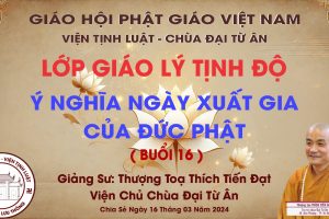 Ý NGHĨA NGÀY XUẤT GIA CỦA ĐỨC PHẬT - BUỔI 16